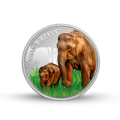 WWF India Asian Elephant 999.9 Purity 31.1 gm Silver Coin