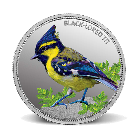 https://shop.mmtcpamp.com/Black lored tit coin