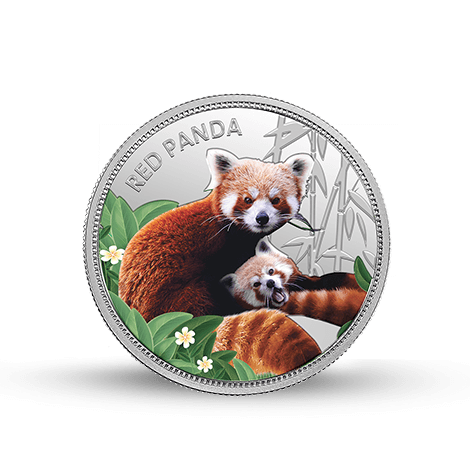 red panda silver coin 31.1 gm