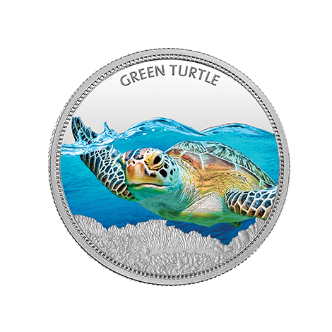 green turtle coin