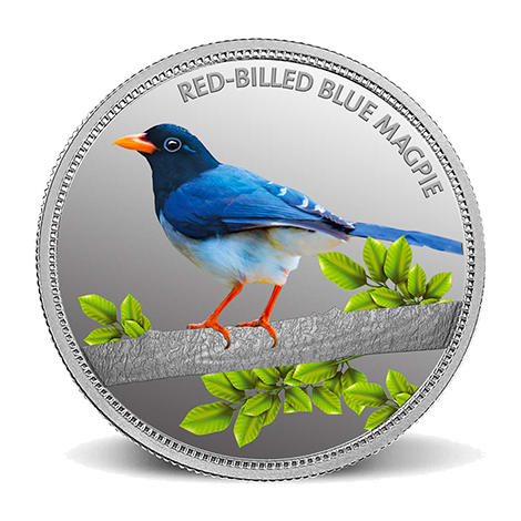 https://shop.mmtcpamp.com/Red billed blue magpie